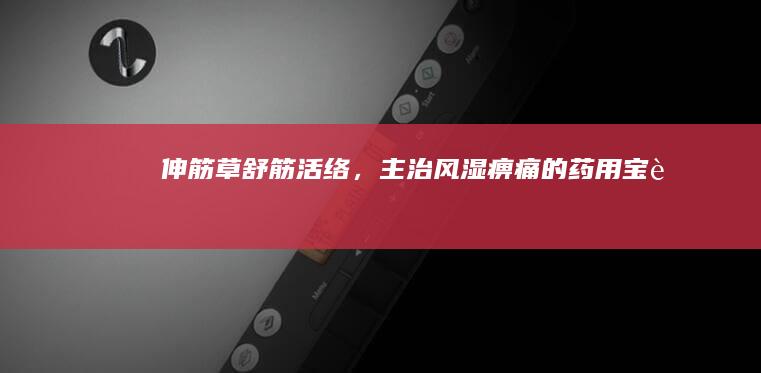 伸筋草：舒筋活络，主治风湿痹痛的药用宝藏